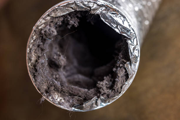Affordable HVAC Duct Cleaning in Montegut, LA