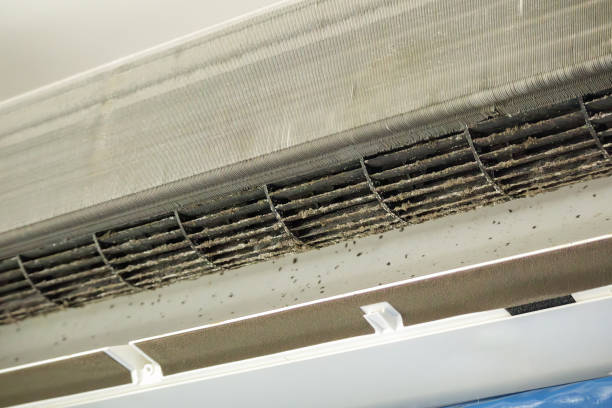 Best Ventilation Cleaning Services  in Montegut, LA